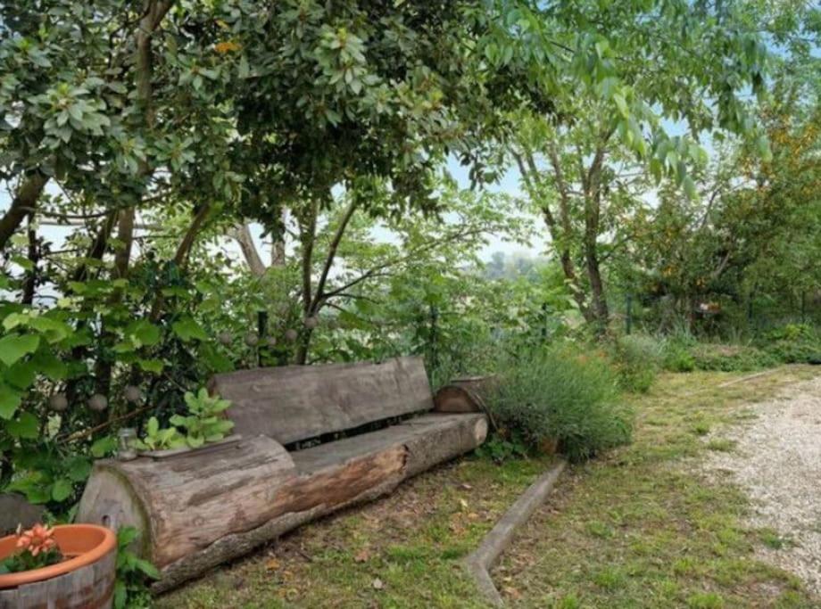 La Casa Rosa Apartment Piobesi d'Alba Bagian luar foto
